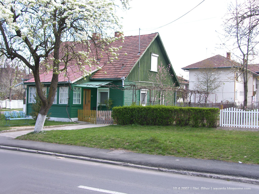 Stei